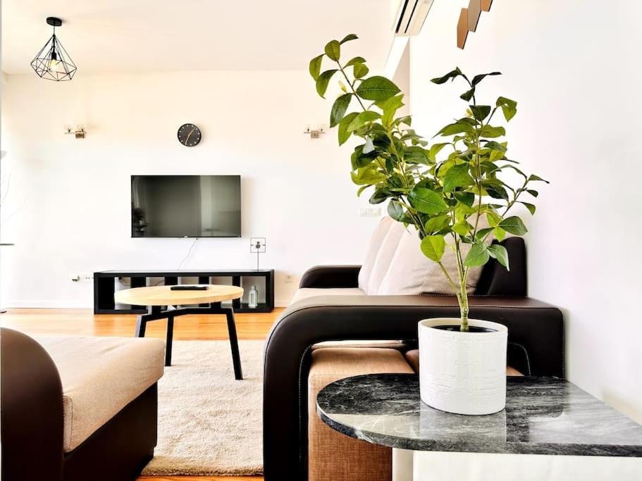 Luz Benfica Apartamento Lisboa